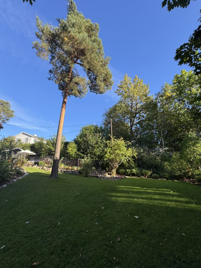 Utjevning av terreng Oslo