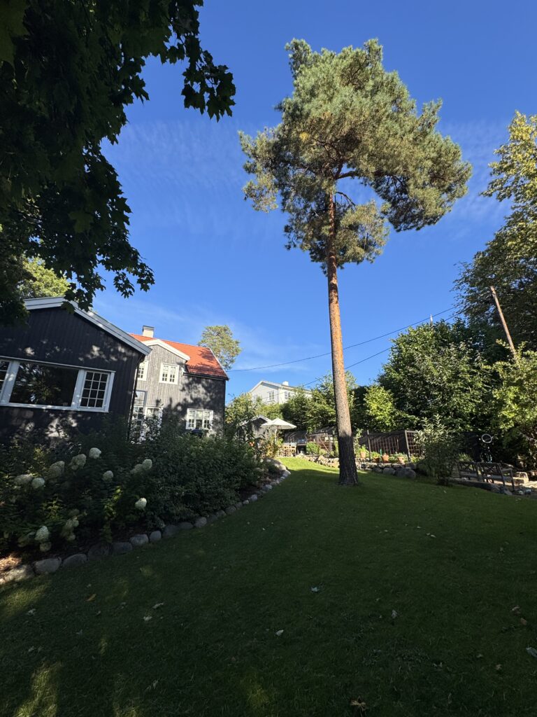 Utjevning av terreng Oslo